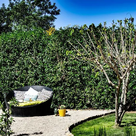 Affittacamere Quinta Verde
