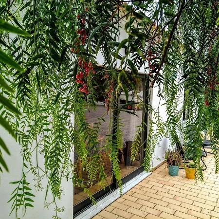 Quinta Verde Πανσιόν